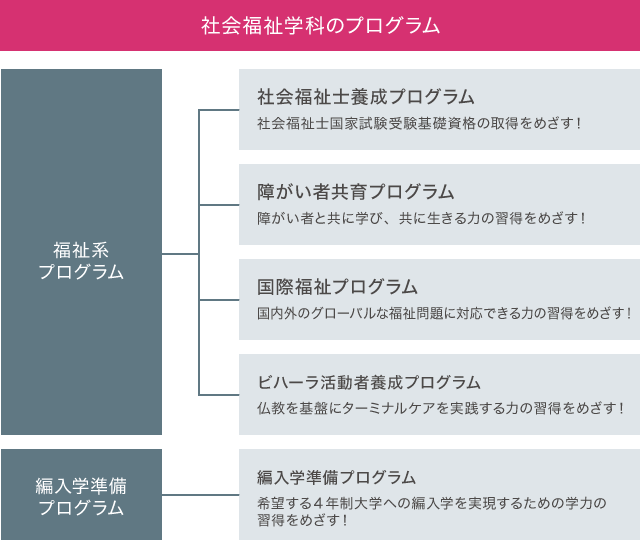 関心や進路に応じて学びたいプログラムを多彩にラインナップ